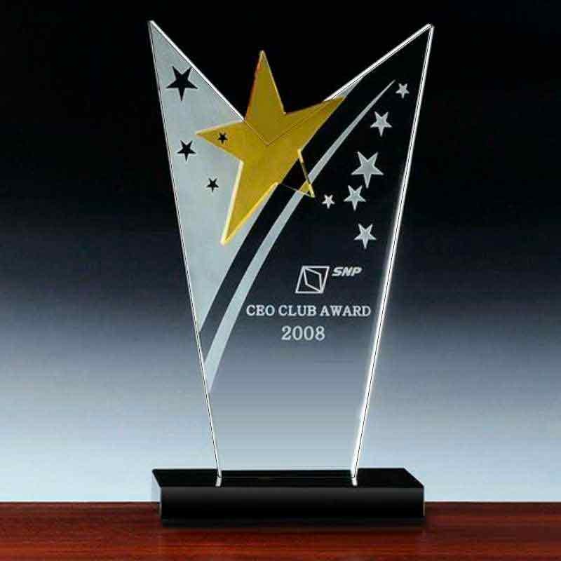 Trofeo de acrilico, Premio, Souvenir grabado Gold Star