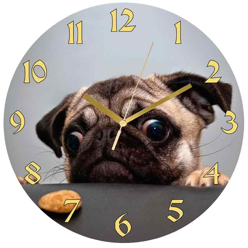 Reloj de acrilico para pared Diseño: Dog and cookie