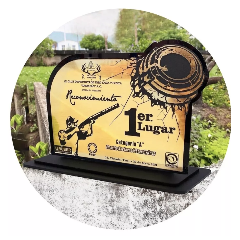 Placa De Acrílico, Trofeos, Premios Diseño Bicapa 2