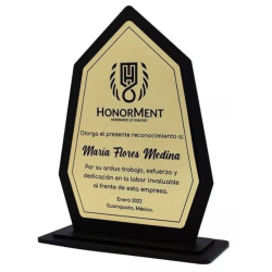 Placa De Acrílico, Trofeos, Premios Diseño Bicapa 2