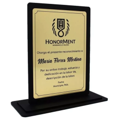 Placa De Acrílico, Trofeos, Premios Diseño Bicapa 2