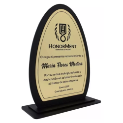 Placa De Acrílico, Trofeos, Premios Diseño Bicapa 2