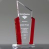 Trofeo Mod.592 Premio de acrilico empresarial