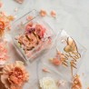 Caja Acrilico C/ Nombre espejado. Para Anillos Boda, Porta Alianzas