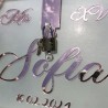 -Buzon para Tarjetas- Cofre mod.499