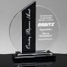 Placa De Acrílico, Trofeo, Premio Diseño Combinado Mod.860