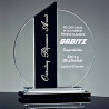 Placa De Acrílico, Trofeo, Premio Diseño Combinado Mod.860
