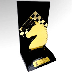 Trofeo Acrilico, Premio Ajedrez P/jugador, Profesor, Mod.866