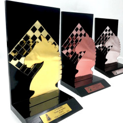 Trofeo Acrilico, Premio...