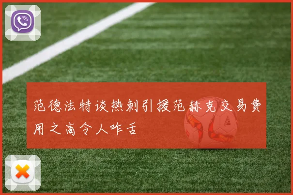 范德法特谈热刺引援范赫克交易费用之高令人咋舌