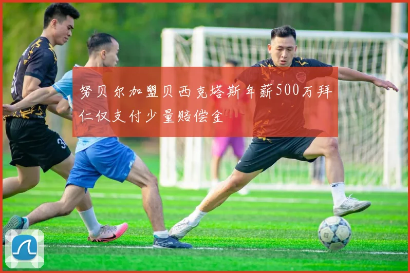 努贝尔加盟贝西克塔斯年薪500万拜仁仅支付少量赔偿金